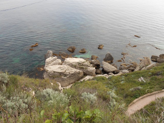 DSCN3172